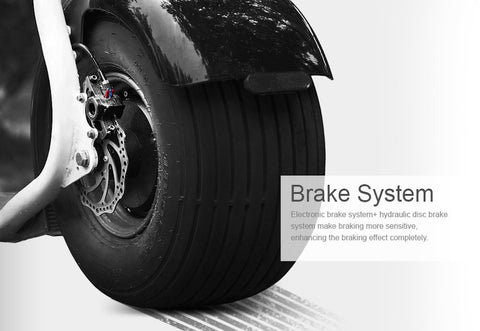 SEEV-800 Electric Lifestyle Fat Tire Scooter 800w Hub Motor E-Bike Bicycle - Gasbike.net