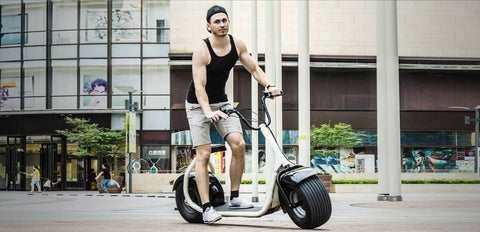 SEEV-800 Electric Lifestyle Fat Tire Scooter 800w Hub Motor E-Bike Bicycle - Gasbike.net