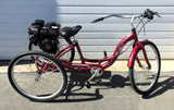 212cc Motorized Gas Tricycle - Gasbike.net
